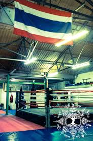 Image result for St Neots Muay Thai