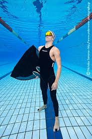 Image result for Swansea Finswimming Club