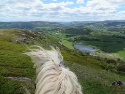 Image result for Brecon Bowling Club