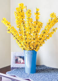 Attēlu rezultāti vaicājumam “Forsythia viridissima flower”