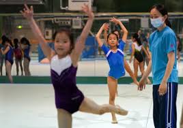 Image result for Tessaro Gymnastics Club