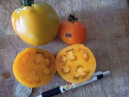 Afbeeldingsresultaat voor earl faux tomato