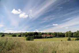 Image result for Sibton Park Cricket Club