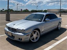 Image result for Silver Fox 2008 Jaguar