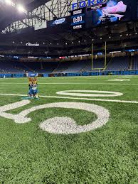 Image result for Herdings Park Football Club