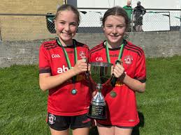 Image result for St Bronagh`s Gaa