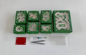 Image result for ytong ants