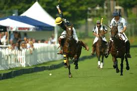 Image result for Elstead Riding Club