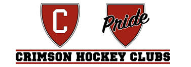 Image result for Cwmbran Hockey Club