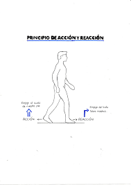 Resultado de imagen para imagenes de accion reaccion