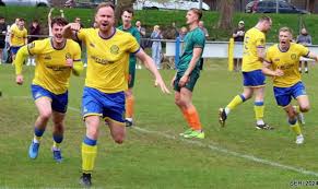 Image result for Cwmbran Celtic F C