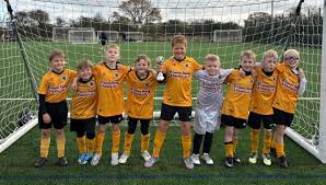 Image result for United in the Community - Boston Player Development Centres