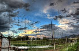 Image result for bad hdr