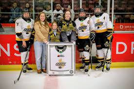 Image result for Cardiff Comets Ladies Ice Hockey