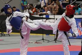 Image result for Taekwondo Athletes Program USA