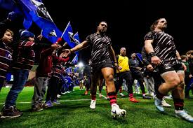 Image result for St Mary's Old Boys Rugby Union Football Club