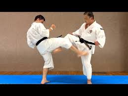 Image result for Durham University Shorinji Kempo Society Club