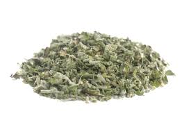 Image result for Nepeta cataria