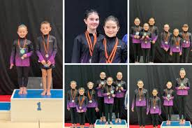 Image result for Kestrel Gymnastic Group