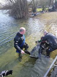 Image result for Guildford British Sub Aqua Club