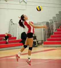 Image result for York University Volleyball Club