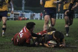 Image result for Colchester Rugby Football Club
