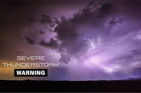 Image result for Sussex Thunder