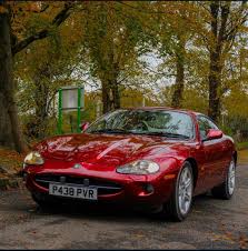 Image result for Cabernet 1997 Jaguar