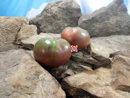 Afbeeldingsresultaat voor CDB tomato