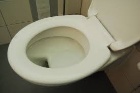 Image result for german toilet