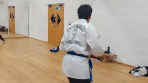 Image result for Sutton & Mitcham Choi Kwang-Do