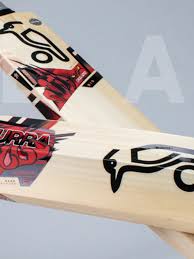 Image result for Buscot Park Cricket Club