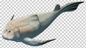 Attēlu rezultāti vaicājumam “Placodermi”