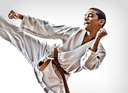 Image result for Springwood Karate