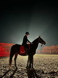 Image result for Ayr Riding Club