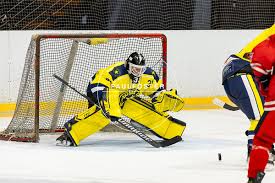 Image result for Oxford City Stars Ice Hockey Club