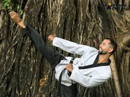 Image result for National Forest Taekwon-do