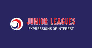 Image result for Harborough Junior Dodgeball Club