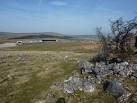 is used for stock car and - via Daymix