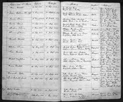 Image result for van vuuren theron