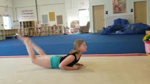 Image result for Fish trampoline and gymnastics club