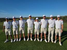 Image result for Falcon Sa Club