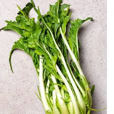 Image result for Zichorie