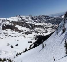 Image result for skiptondivers