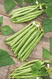 Image result for Buschbohnen