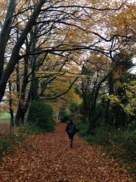 Image result for Compton and Shawford Sports Club