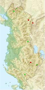 Attēlu rezultāti vaicājumam “Satyrium w-album underside”