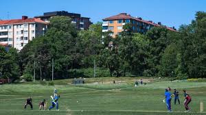 Image result for Minehead Cricket Club
