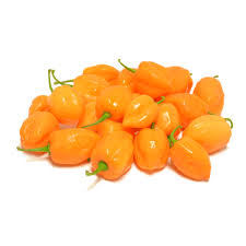 Afbeeldingsresultaat voor orange habanero hot pepper