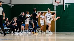 Image result for Nottingham Wildcats